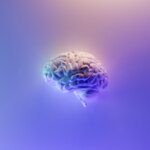 Why Your Brain Enjoys Exercise as Much as Your Body