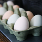 The Eggcellent Truth About Eggs